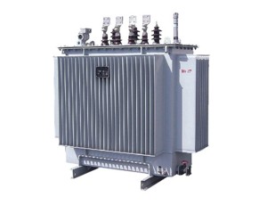 Трансформаторы: S9\ S11\ S13 Трансформаторы, заполненные жидкостью